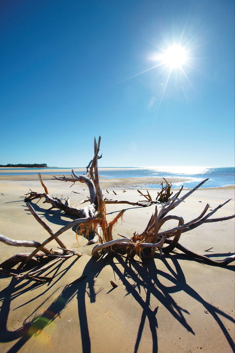 Woodgate Beach Park And Playground - Great Ocean Road Tourism 1