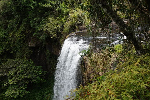 Zillie Falls - Great Ocean Road Tourism 0