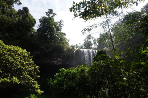 Zillie Falls - Great Ocean Road Tourism 1