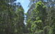 Alfred National Park - thumb 1