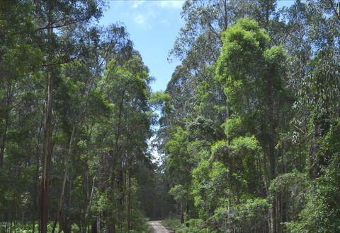 Alfred National Park - Great Ocean Road Tourism 1