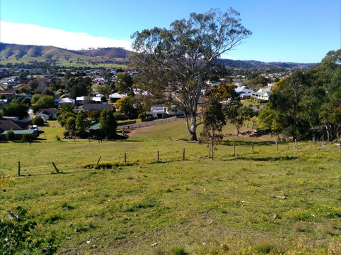 Apex Lookout Dungog - Great Ocean Road Tourism 1