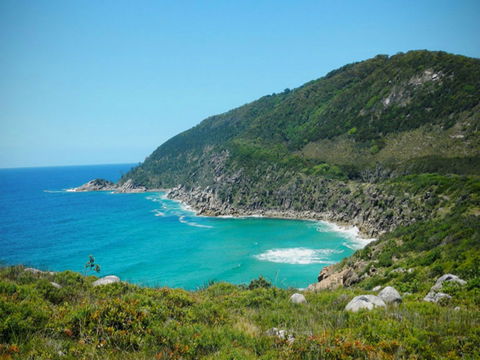 Arakoon National Park - Great Ocean Road Tourism 0