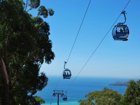 Arthurs Seat Eagle - Great Ocean Road Tourism 0