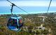 Arthurs Seat Eagle - thumb 1