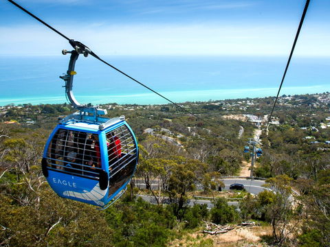 Arthurs Seat Eagle - Great Ocean Road Tourism 1