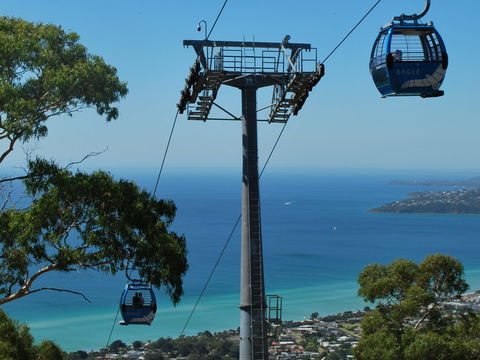 Arthurs Seat Eagle - Great Ocean Road Tourism 2