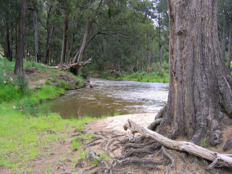 Bangadilly National Park - Great Ocean Road Tourism 0