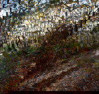 Booderee National Park Munyunga Waraga Dhugan Walking Trail - Great Ocean Road Tourism