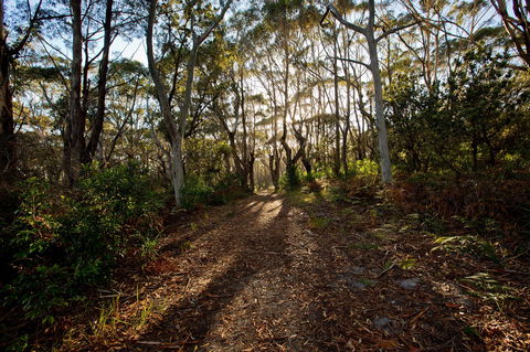 Booderee National Park: Munyunga Waraga Dhugan Walking Trail - Great Ocean Road Tourism 0