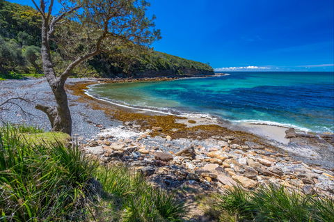 Burns Bay - Great Ocean Road Tourism 0