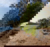 Clyde River National Park - Great Ocean Road Tourism