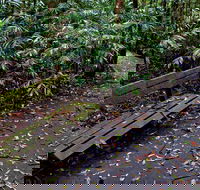 Coombadjha Nature Stroll - Great Ocean Road Tourism