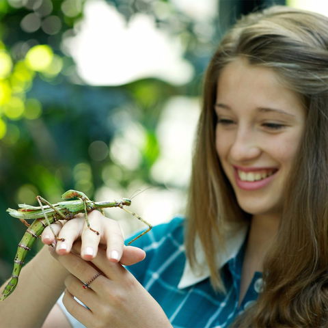 CSIRO Discovery Centre - Great Ocean Road Tourism 1