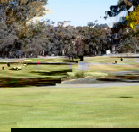 Deniliquin Golf Club - Great Ocean Road Tourism