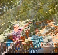 Dubbo - Great Ocean Road Tourism