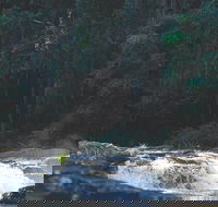 Gardners Falls - Great Ocean Road Tourism