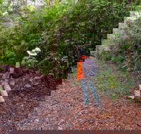 Gibraltar-Washpool World Heritage Walk - Great Ocean Road Tourism