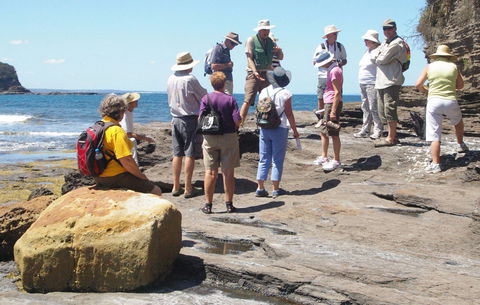 Gondwana Coast Fossil Walk - Great Ocean Road Tourism 0