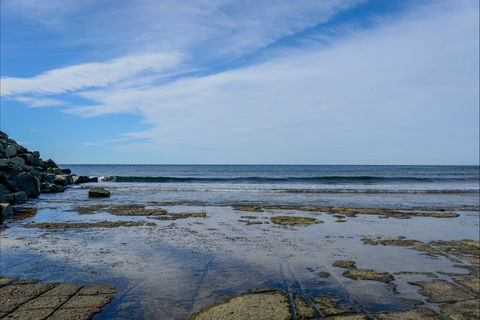 Gondwana Coast Fossil Walk - Great Ocean Road Tourism 1