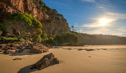 Greenglade Picnic Area - Great Ocean Road Tourism 0
