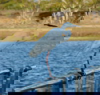 Groper Creek - Great Ocean Road Tourism