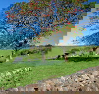 Historic Dry Stone Walls Kiama - Great Ocean Road Tourism