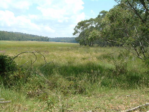 Hume And Hovell Walking Track - Great Ocean Road Tourism 2