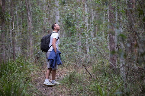 Ironbark Ridge And Spotted Gum Walking Trails - Great Ocean Road Tourism 2