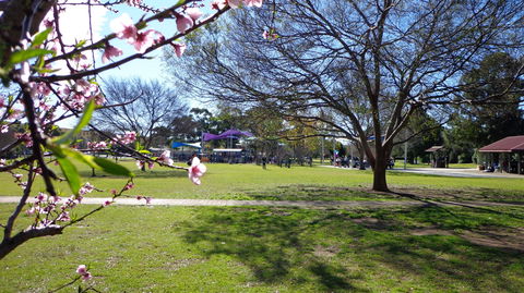 Koshigaya Park - Great Ocean Road Tourism 0
