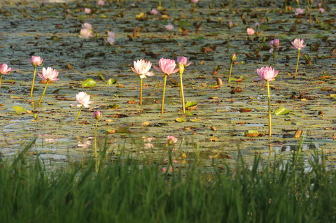 Miles - Great Ocean Road Tourism 2