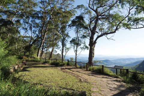 Morans Falls Track, Lamington National Park - Great Ocean Road Tourism 1