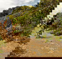 Mountain Biking Trails - Great Ocean Road Tourism