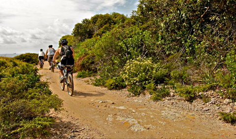 Mountain Biking Trails - Great Ocean Road Tourism 0
