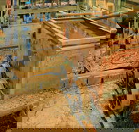 Mountain Maid gold mine - Great Ocean Road Tourism