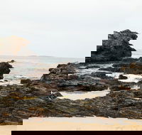 Mystery Bay Short Walk - Great Ocean Road Tourism