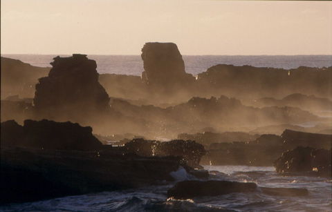 Mystery Bay Short Walk - Great Ocean Road Tourism 1