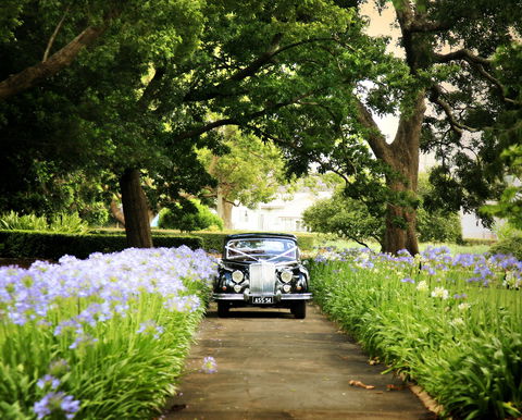 Queens Park, Toowoomba - Great Ocean Road Tourism 2
