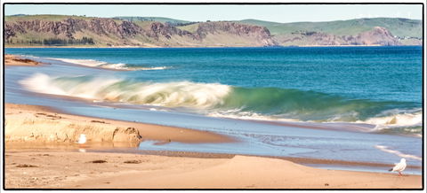 Starfish Hill Windfarm - Great Ocean Road Tourism 0