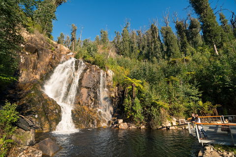 Steavenson Falls - Great Ocean Road Tourism 1