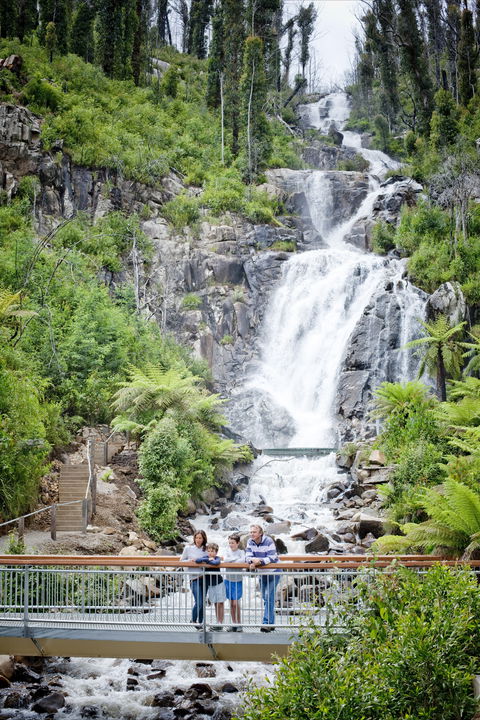 Steavenson Falls - Great Ocean Road Tourism 2