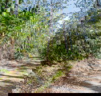 Tip to Tail Trail - Great Ocean Road Tourism