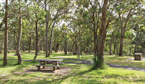 Wollomombi Gorge And Falls Picnic Area - Great Ocean Road Tourism 0