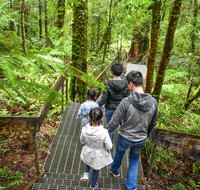 Yarra Ranges National Park - Great Ocean Road Tourism