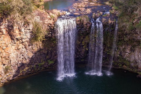Rainforest & Waterfall Experience - Great Ocean Road Tourism 1