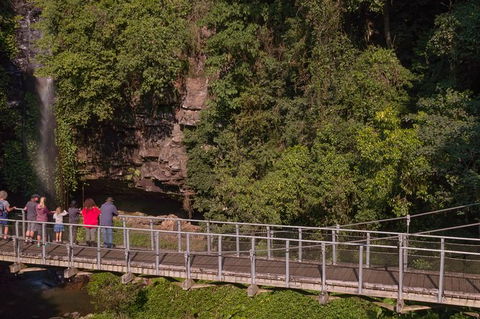 Rainforest & Waterfall Experience - Great Ocean Road Tourism 4