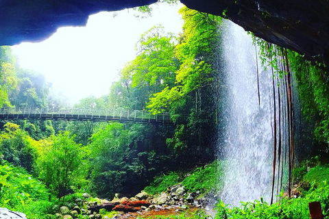Rainforest & Waterfall Experience - Great Ocean Road Tourism 6