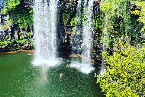 Rainforest & Waterfall Experience - Great Ocean Road Tourism 2