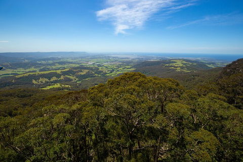 Illawarra Fly Treetop Adventures Treetop Walk Admission Ticket - Great Ocean Road Tourism 6