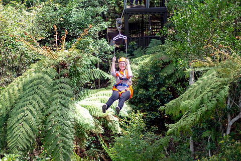 Illawarra Fly Treetop Adventures Treetop Walk Admission Ticket - Great Ocean Road Tourism 2